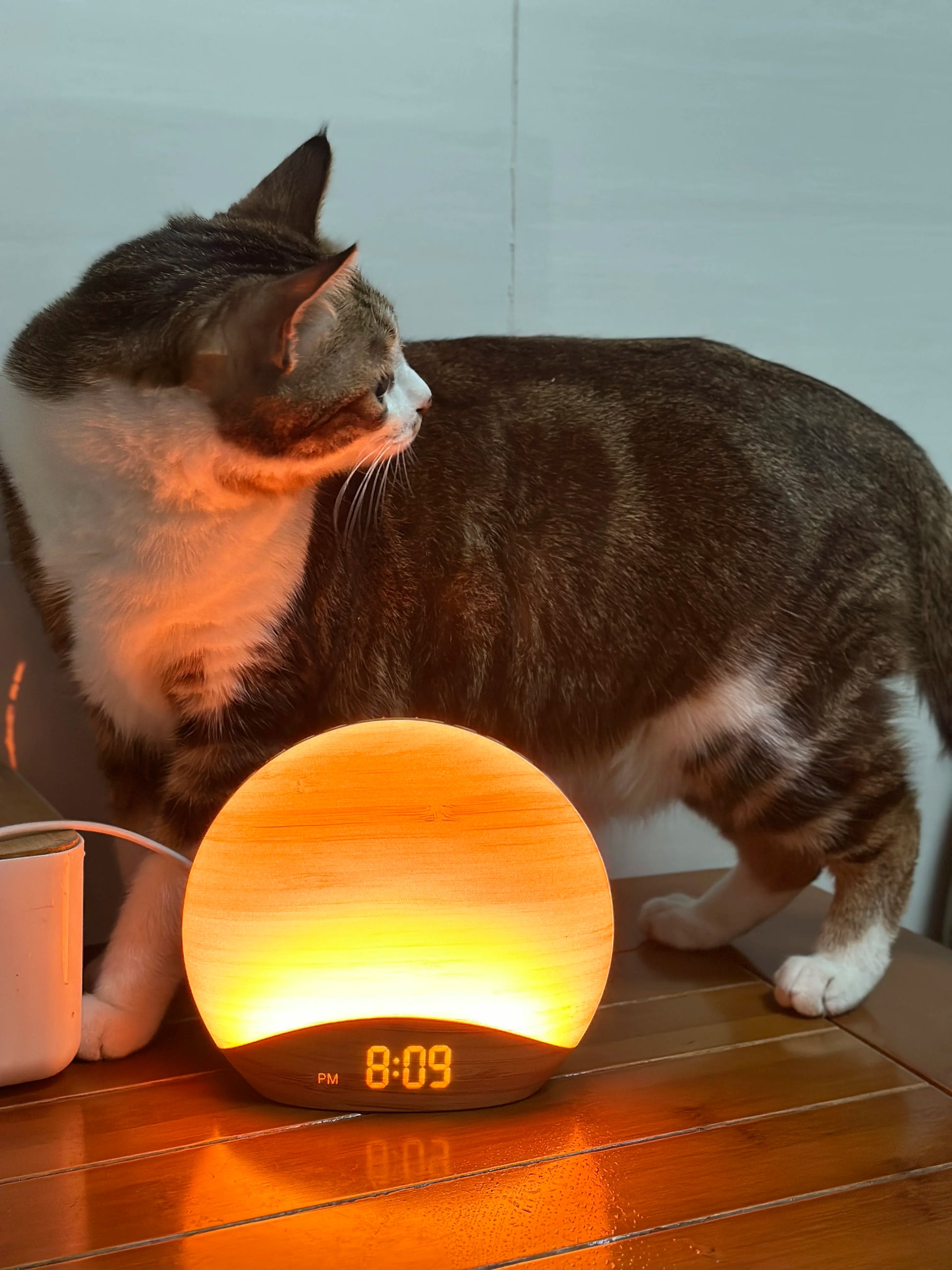 Réveil lumineux et son de la nature Le Bon Réveil